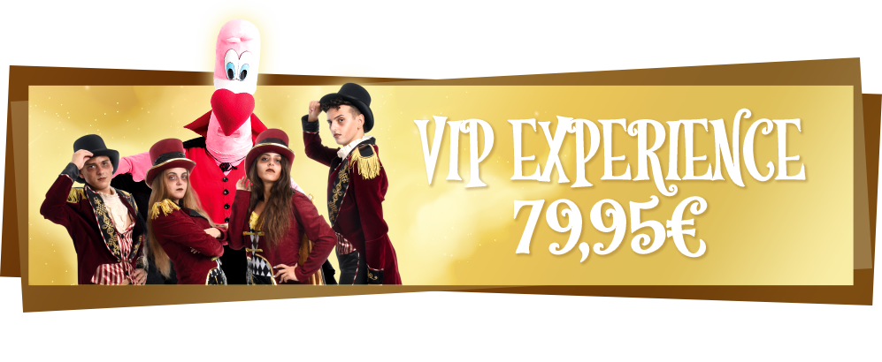 Vip Experience