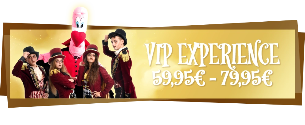 Vip Experience