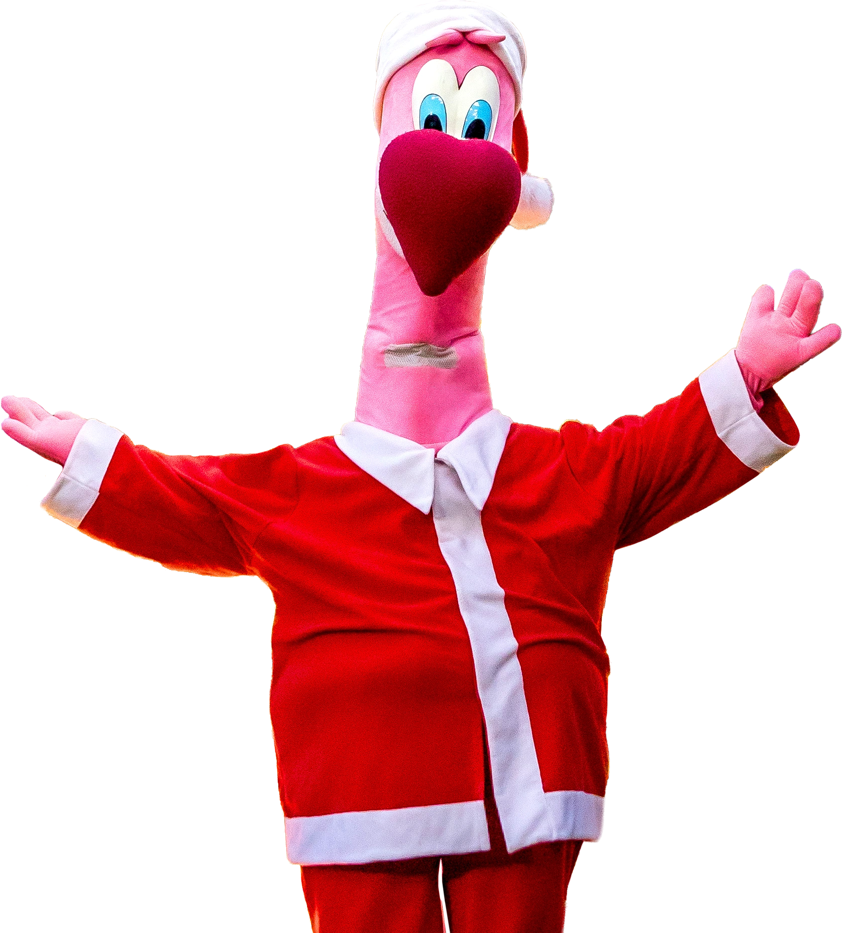 Pola Park Black Friday